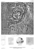 Mars Controlled Photomosaic of the MTM 00112 Quadrangle, Pavonis Mons Region thumbnail