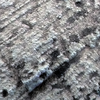 Mars MER MI/Pancam Color Merge: 1MP042IOF005ORT106P2953L257F1_Mojo2 thumbnail