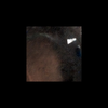 Mars MER MI/Pancam Color Merge: mars-mer-mipancam-color-merge-2mpj81iofb1orte5p2956l257f3 thumbnail