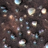 Mars MER MI/Pancam Color Merge: 1MP017IOF003ORT022P2953L257F1_Freckles thumbnail