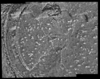 Mars MER MI Image Mosaic 2MM035IOL03ORT27P2943M2F1 thumbnail