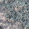 Mars MER MI/Pancam Color Merge: 1MP053IOF006ORT128P2956L257F1_Vanilla thumbnail