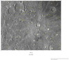 Moon LAC-55 Vasco a Gama Nomenclature  thumbnail