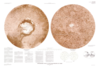 Mars Topographic Maps of the Polar, Western, and Eastern Regions thumbnail