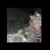 Mars MER MI/Pancam Color Merge: mars-mer-mipancam-color-merge-2mpb89iofatortazp2976l257f3 thumbnail