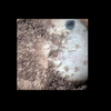 Mars MER MI/Pancam Color Merge: 1MP139IOF31ORT82P2956L257F1_Tennessee thumbnail