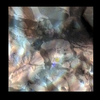 Mars MER MI/Pancam Color Merge: 1MPW64IOFBYORT00P2937L257F10_Esperance thumbnail