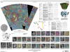 Venus Geologic Map of the Lada Terra Quadrangle (V-56) thumbnail