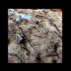 Mars MER MI/Pancam Color Merge: 1MP125IOF28ORT29P2956L257F8_Tier2 thumbnail