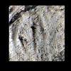 Mars MER MI/Pancam Color Merge: 1MP142IOF31ORT90P2957L257F3_Siula_Grande thumbnail