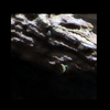 Mars MER MI/Pancam Color Merge: 1MP015IOF03ORT12p2933L257F1_Robert_E_Side thumbnail