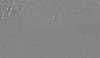 48°N 210°E MC-2  Diacria  Equirectangular-Planetocentric thumbnail