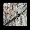 Mars MER MI/Pancam Color Merge: 1MP142IOF31ORT90P2957L257F4_Siula_Grande thumbnail