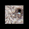 Mars MER MI/Pancam Color Merge: 1MP125IOF28ORT29P2976L257F27_Tier5a thumbnail