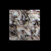 Mars MER MI/Pancam Color Merge: 1MP125IOF28ORT29P2956L257F2_Tier1 thumbnail