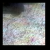 Mars MER MI/Pancam Color Merge: 1MPU27IOFBUORT00P2955L257F1_Rushall1 thumbnail