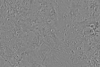 15°S 112.5°E MC-22 Mare Tyrrhenum Equirectangular-Planetocentric thumbnail