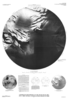 Mars Controlled Photomosaic of the South Polar Area (MTM -90000 Revised), Planum Australe Region thumbnail