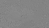 48°S 330°E MC-26 Argyre  Equirectangular-Planetocentric thumbnail