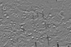 Mars THEMIS Night IR Controlled Mosaic Aeolis 30S 135E 100 mpp thumbnail