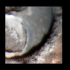 Mars MER MI/Pancam Color Merge: 1MPL10IOFA9ORTX7P2956L257F5_Peck_Bay2 thumbnail