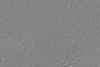 15°N 22.5°E MC-12 Arabia Equirectangular-Planetocentric thumbnail