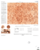 Mars Shaded Relief Map of the Sinus Sabaeus Quadrangle thumbnail