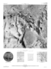 Mars MTM -05187 Controlled Photomosaic of Part of the Apollinaris Patera Region thumbnail