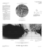 Iapetus Pictorial Map and Controlled Photomosaic thumbnail