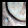 Mars MER MI/Pancam Color Merge: 1MPP15IOFB1ORTAXP2996L257F2_LuisDeTorres_1 thumbnail
