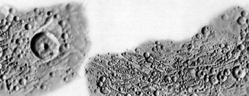 Mimas Voyager Image Control Network (RAND) thumbnail