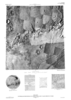 Mars MTM 25077 Controlled Photomosaic of Part of the Kasei Valles Region thumbnail