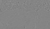 48°N 150°E MC-7  Cebrenia  Equirectangular-Planetocentric thumbnail
