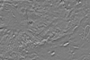 Mars THEMIS Night IR Controlled Mosaic Elysium 00N 135E 100 mpp thumbnail