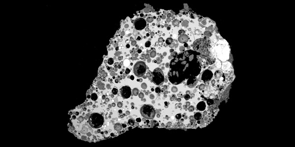 Backscattered electron image of a vesicular impact melt clast from Meteor Crater