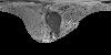 Pluto New Horizons LORRI - MVIC Global DEM 300m v1 thumbnail