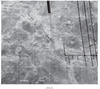 Venus V-39 Taussig Nomenclature  thumbnail