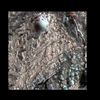 Mars MER MI/Pancam Color Merge: 1MP144IOF31ORT90P2906L257F2_CD_Boundary thumbnail