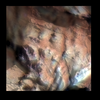 Mars MER MI/Pancam Color Merge: 1MPW64IOFBYORT00P2937L257F11_Esperance thumbnail