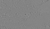 48°S 30°E MC-27 Noachis  Equirectangular-Planetocentric thumbnail