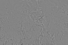 15°S 202.5°E MC-16 Memnonia  Equirectangular-Planetocentric thumbnail