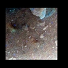 Mars MER MI/Pancam Color Merge: mars-mer-mipancam-color-merge-2mpk52iofb1orte5p2976l257f1 thumbnail