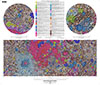 Unified Geologic Map of the Moon, 1:5M, 2020 thumbnail